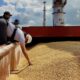 Black Sea Grain deal