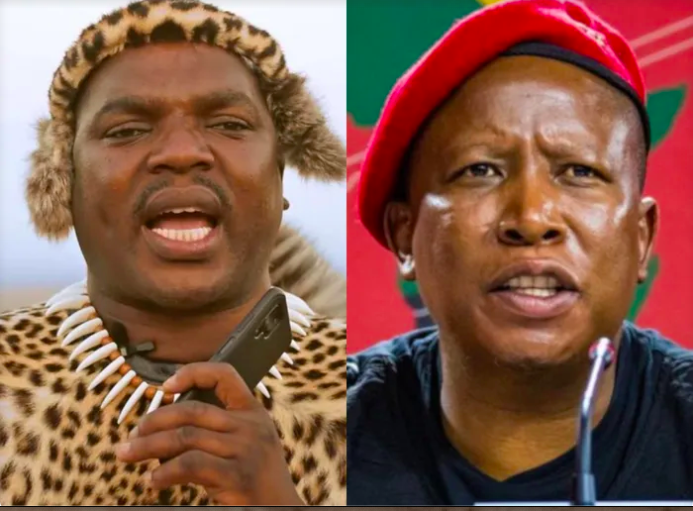 Ngizwe Mchunu - Malema
